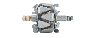 ESRR219