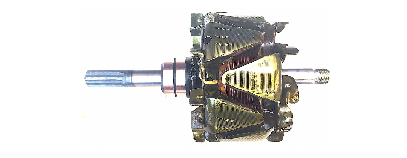 ESRR355