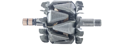 ESRR024